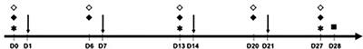 PD-L1 Blockade During Allergen Sensitization Inhibits the Synthesis of Specific Antibodies and Decreases Mast Cell Activation in a Murine Model of Active Cutaneous Anaphylaxis